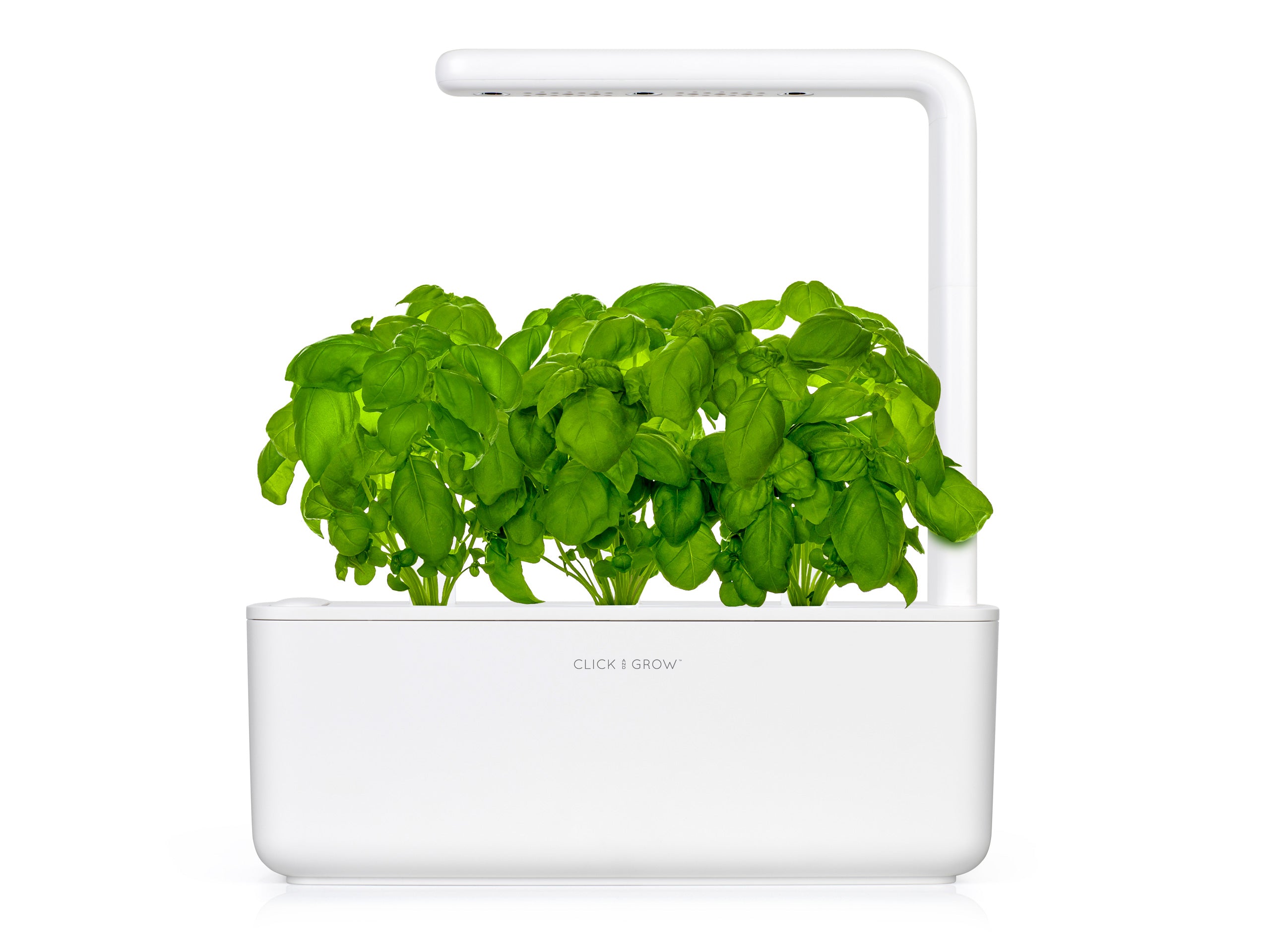 White Click & Grow Smart Garden 3 with three plant positions