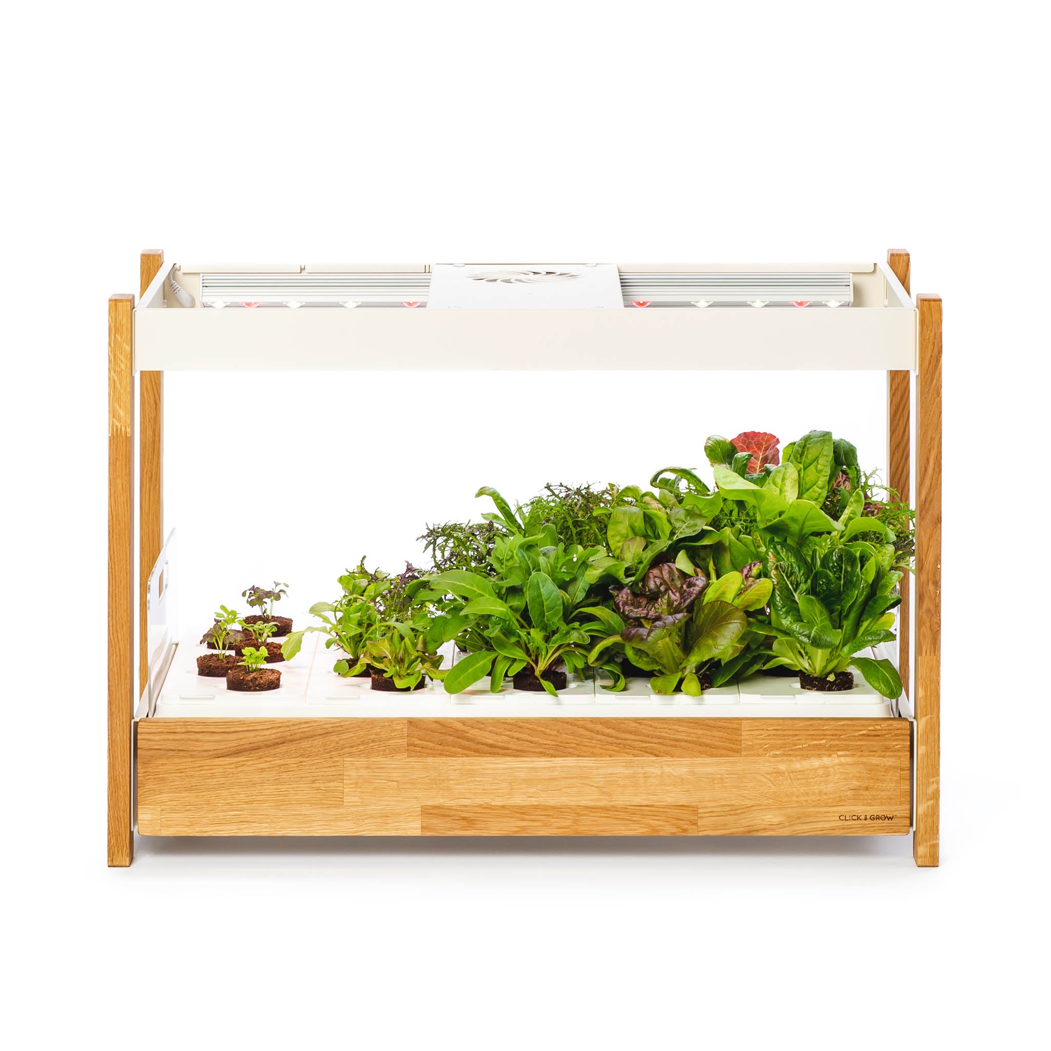 Click & Grow 25 shown in the original merchant product photo